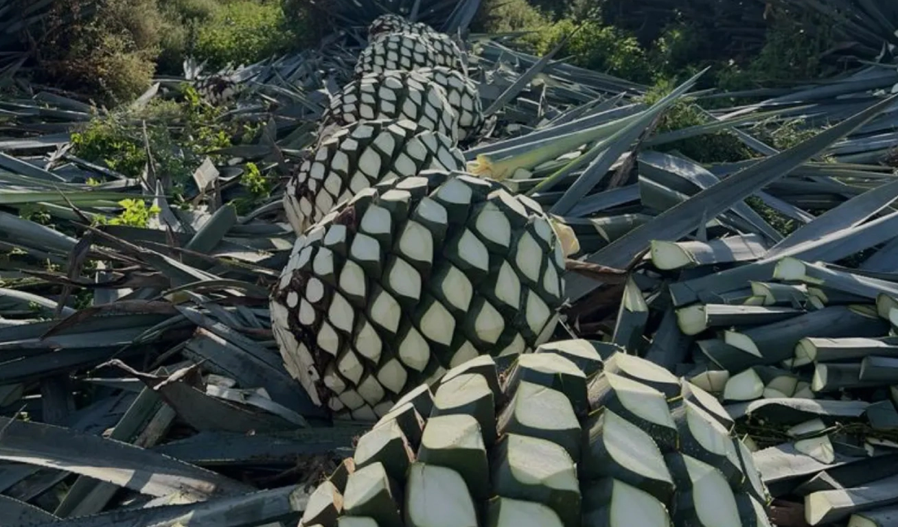 How It’s Done Tequila Diamante Negro