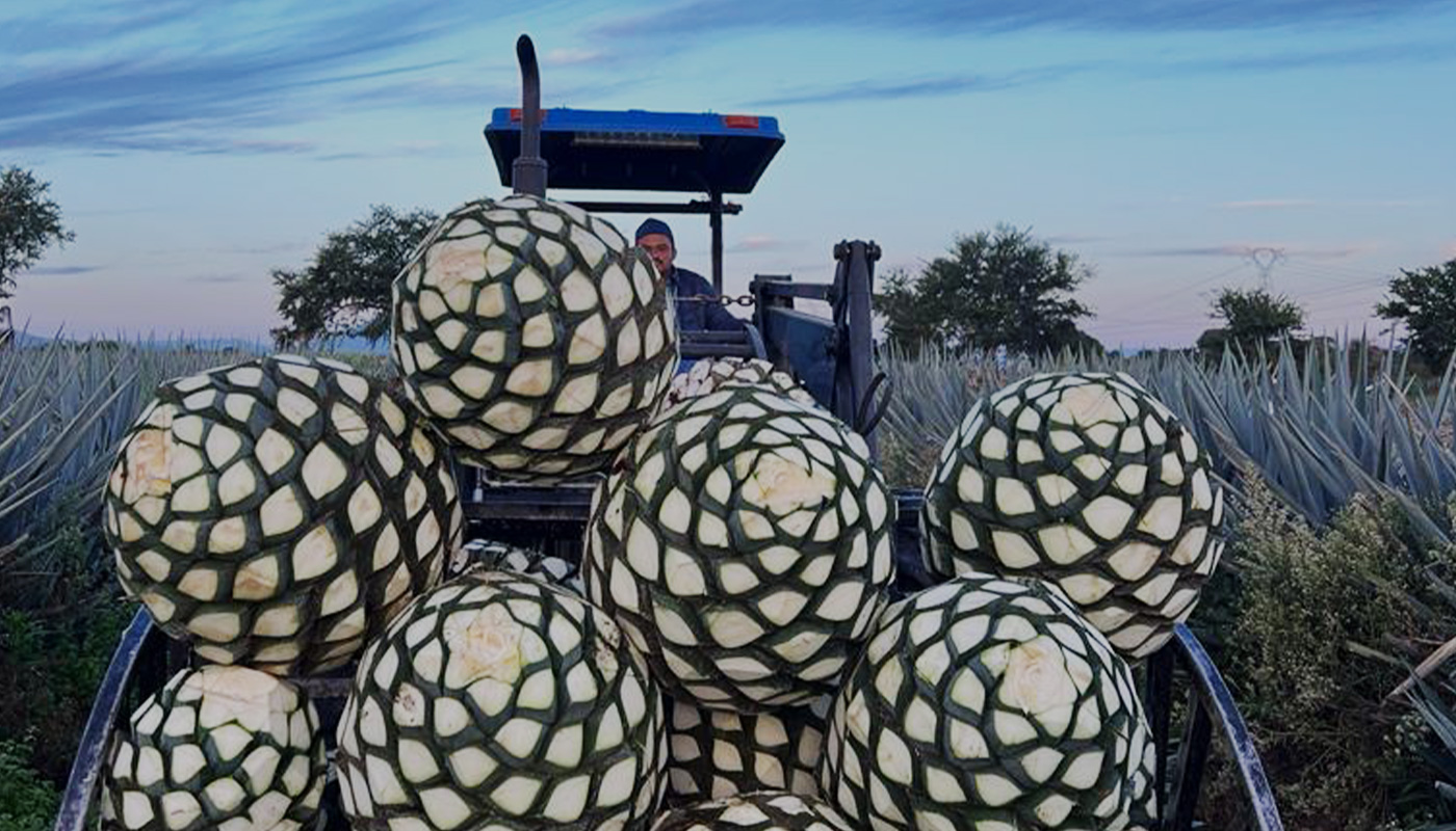 Our Tequila Diamante Negro 